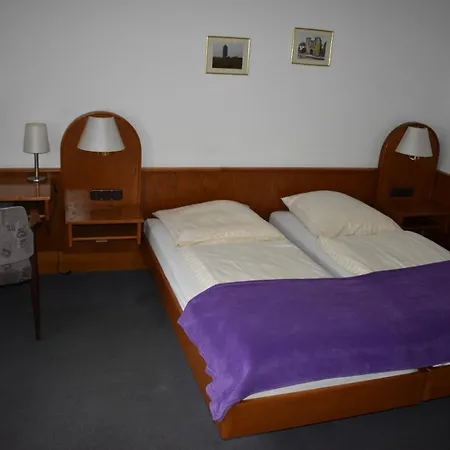 Hotel-restaurant Theis-muehle Otel