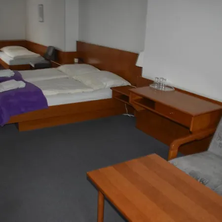 Hotel-restaurant Theis-muehle Бирсдорф