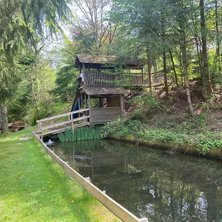 Отель Hotel-restaurant Theis-muehle Бирсдорф