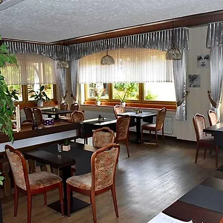 Hotel-restaurant Theis-muehle 3* Biersdorf