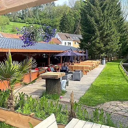 Hotel-restaurant Theis-muehle 3*